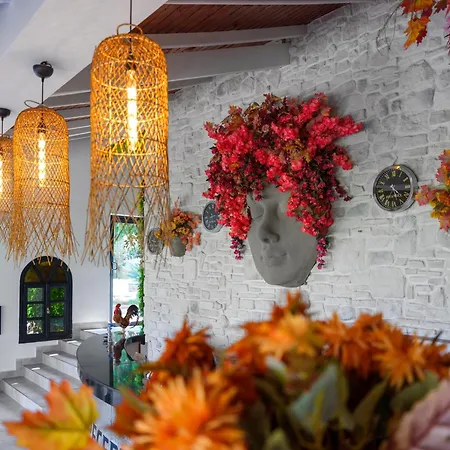 Otel Illusion & Clubhotel - Adults Only Alanya