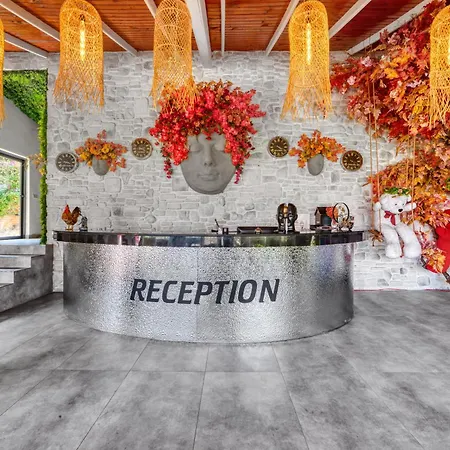 Hotel Illusion & Clubhotel - Adults Only 3*