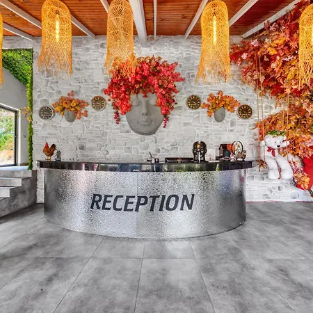 Hotel Illusion Clubhotel Only Adult 3*