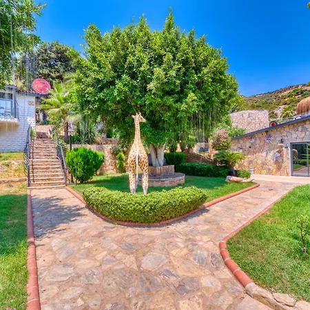 Hotel Illusion & Clubhotel - Adults Only Alanya