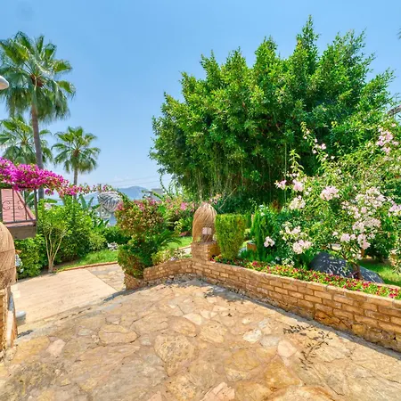 Illusion & Clubhotel - Adults Only 3* Alanya