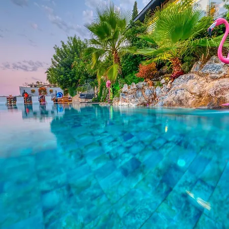 Hotel Illusion Clubhotel Only Adult Alanya