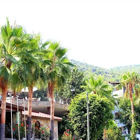 Szálloda Illusion & Clubhotel - Adults Only Alanya