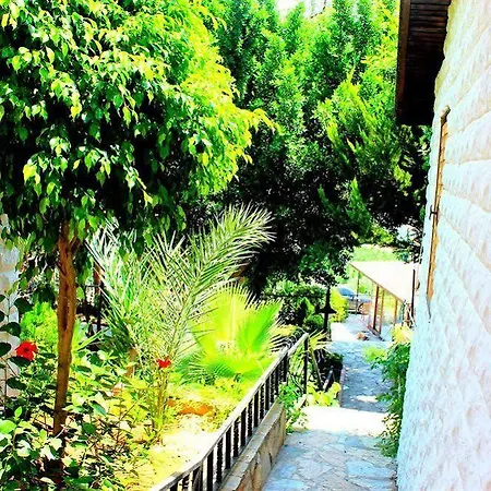 Illusion & Clubhotel - Adults Only 3* Аланія
