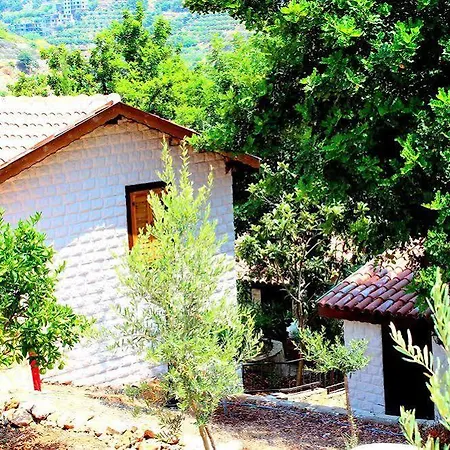 Illusion & Clubhotel - Adults Only Otel