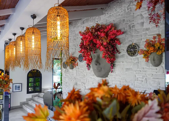 Szálloda Illusion & Clubhotel - Adults Only Alanya