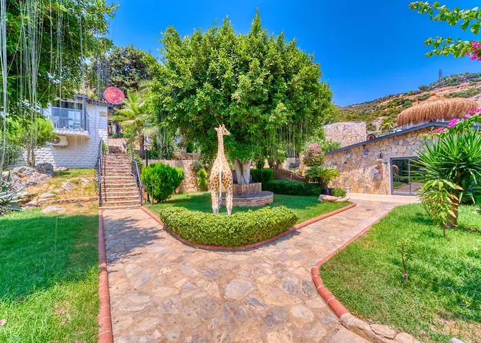 Szálloda Illusion & Clubhotel - Adults Only Alanya