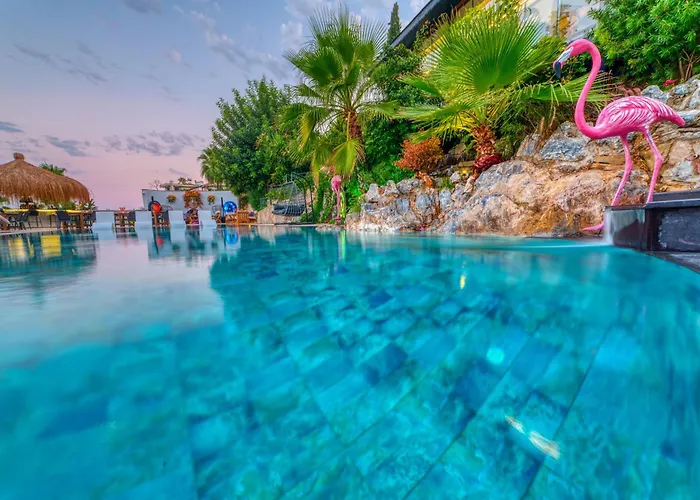 Szálloda Illusion & Clubhotel - Adults Only Alanya