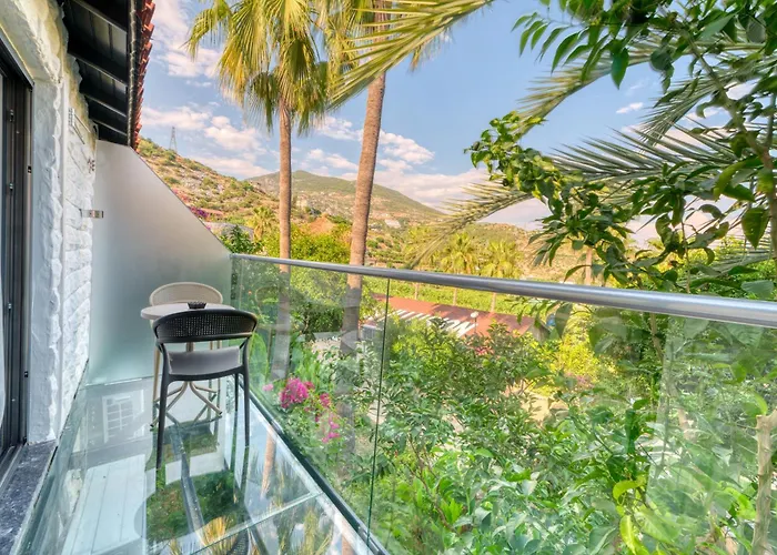 Illusion & Clubhotel - Adults Only 3* Alanya