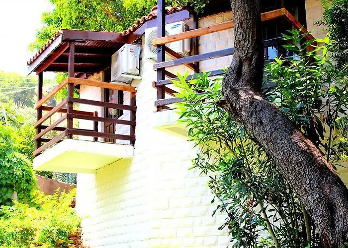 Hotel Illusion & Clubhotel - Adults Only Alanya