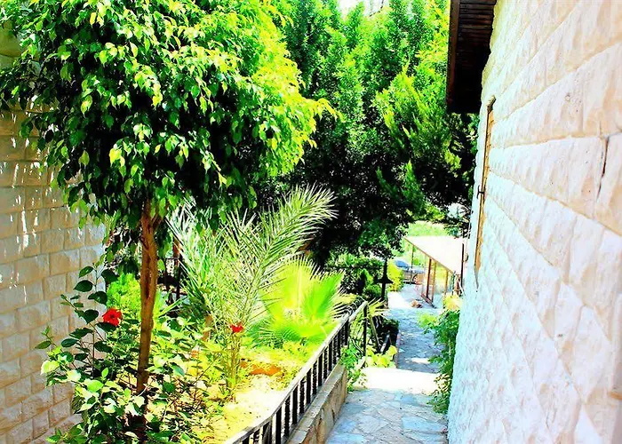 Illusion & Clubhotel - Adults Only 3* Alanya