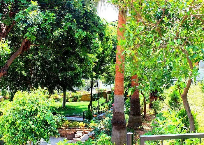 Illusion & Clubhotel - Adults Only Hotel Alanya