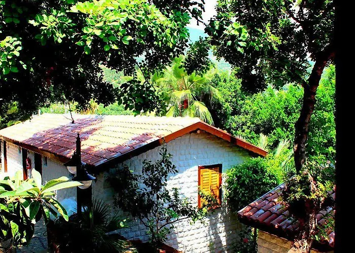 Illusion & Clubhotel - Adults Only Szálloda Alanya