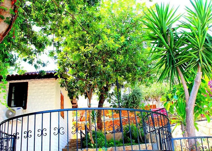 Szálloda Illusion & Clubhotel - Adults Only Alanya