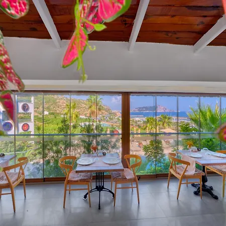 Illusion Beach & Clubhotel - Adults Only