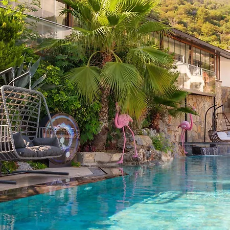 Illusion Beach & Clubhotel - Adults Only Hotel